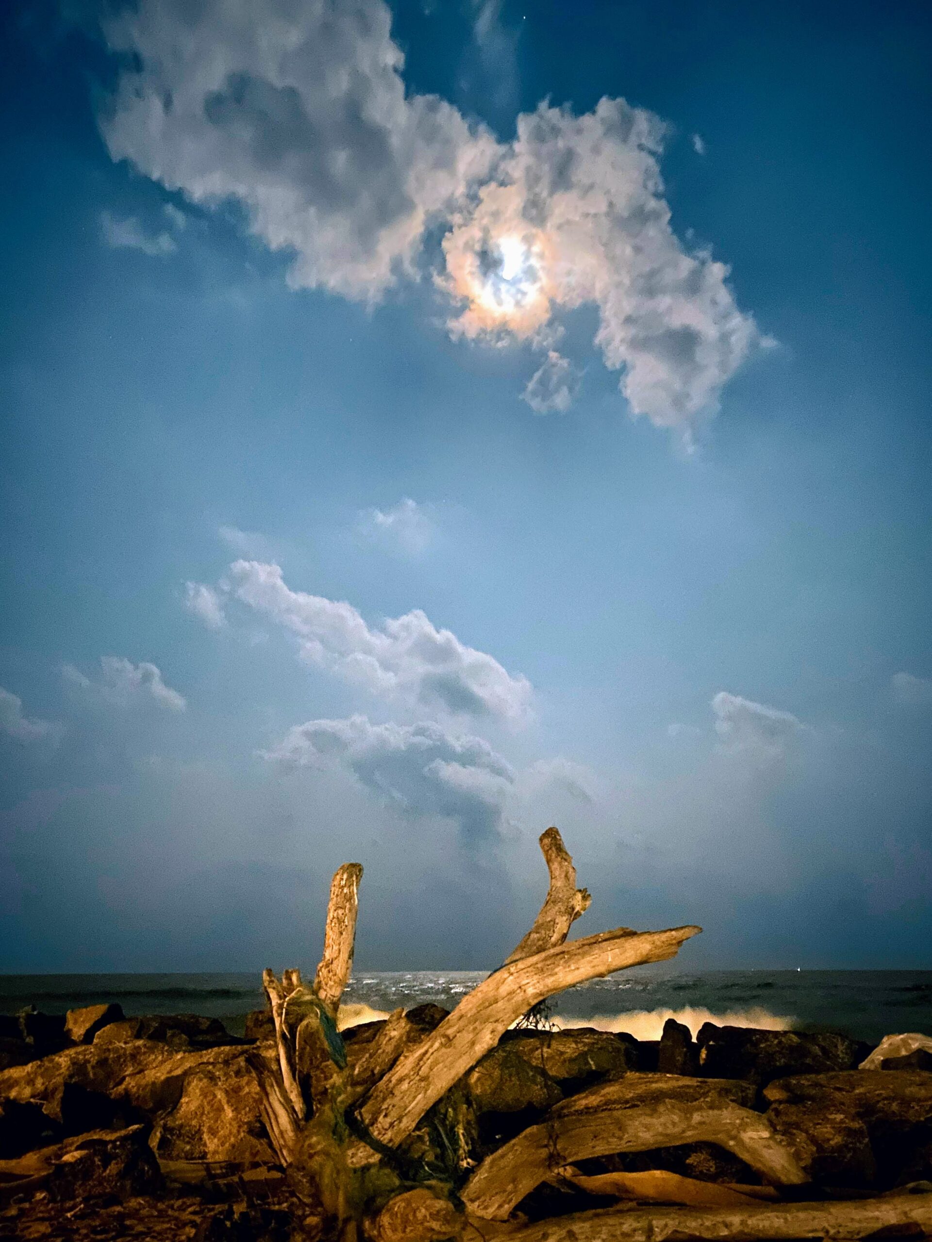 This image has an empty alt attribute; its file name is Moon-in-Pondicherry-scaled.jpg